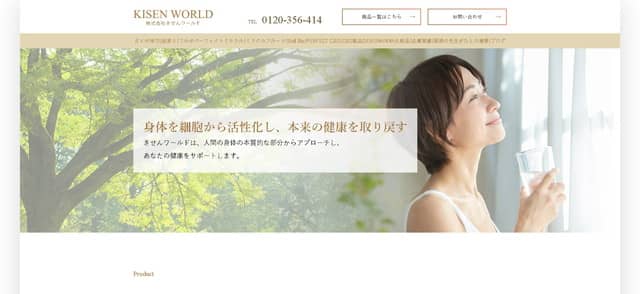 株式会社きせんワールドキャプチャ画像